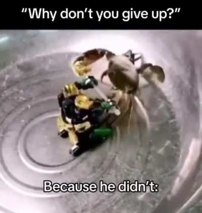 you can do anything