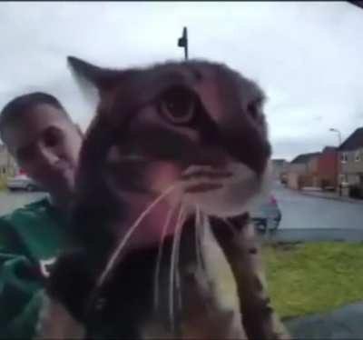 dog 😺👍