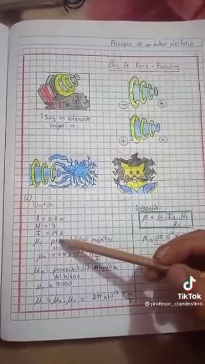BeelcitosMemes - Video #1499