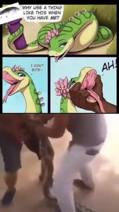 Mano do céu😐