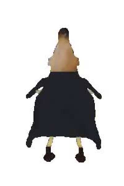 Mi pana obama