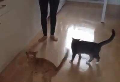 You saw nothing!