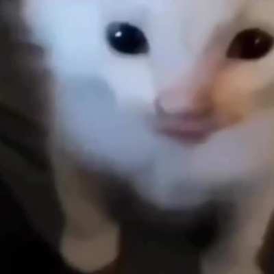 Hi Herbert