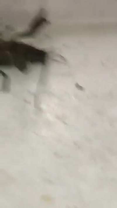 He isn't even showing his full power