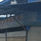 Cat lands as expected