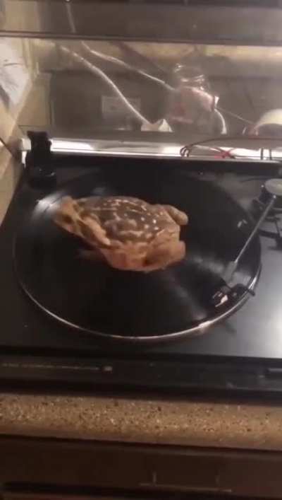 🐸