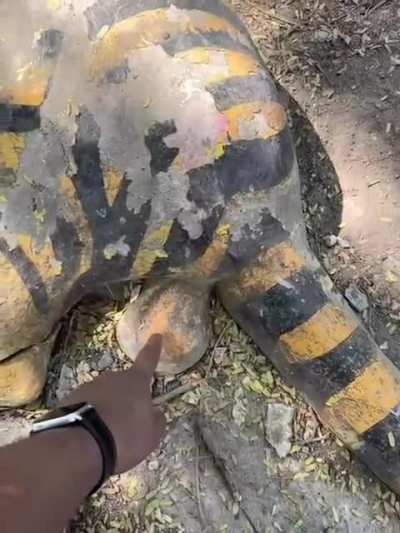 Ты чё твори<wbr>шь?!