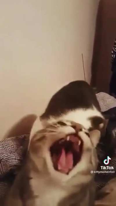 Defenceless kitty.