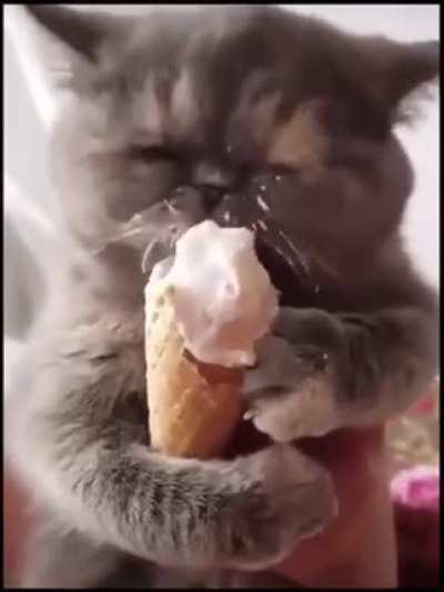 Blessed icecream