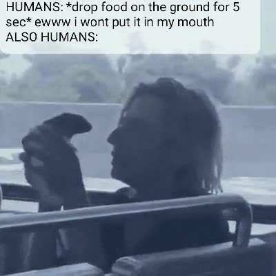 Ah yes, humans... quite weird ngl