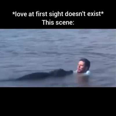 Love at first sight