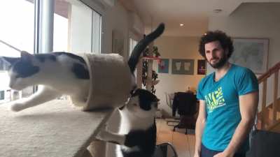 Instant karma