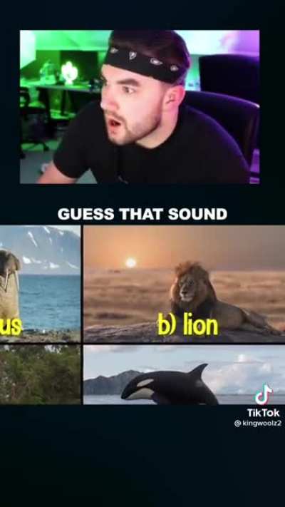 FUUUU-