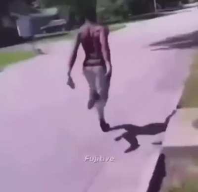 Random shit