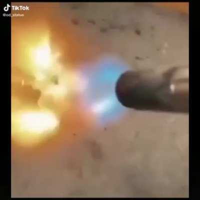 Melhor método de exterminar uma barata (provavelmente ela vai sobreviver mais oque vale é a tentativa)