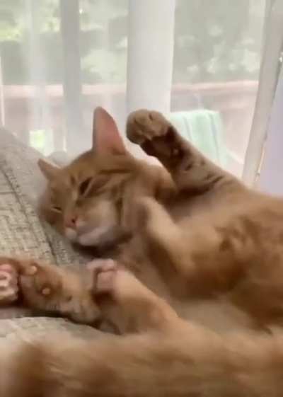 Betrayed by his own relexes