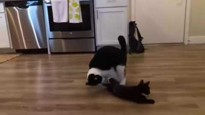 The perfect takedown.