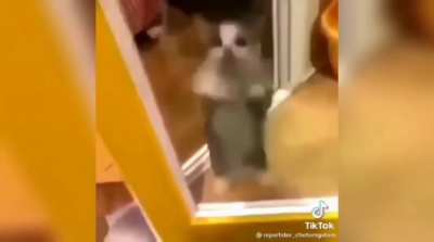 :3