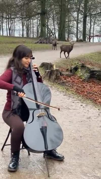 Woman plays cello in park!!