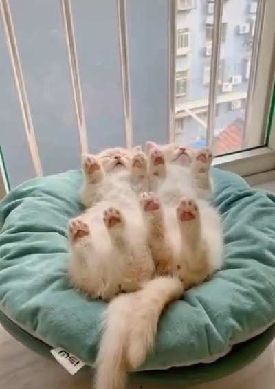 TWINS 💞