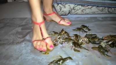 Craw Crush 02