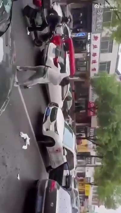 两车司机进<wbr>行了一场友<wbr>好文明的武<wbr>艺切磋
