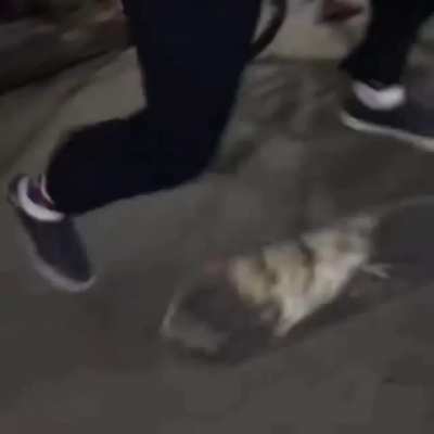 trying to skateboard blindfolded