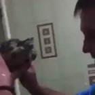 Turtle gets revenge