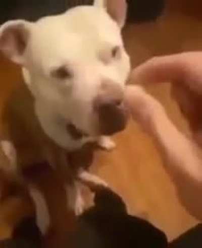 NO-