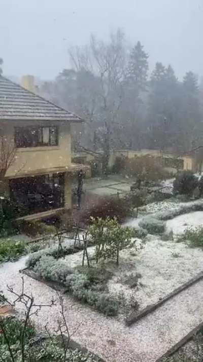 Snowing at the Blue Moutains!