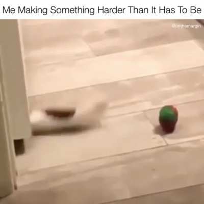 I Like A Challenge