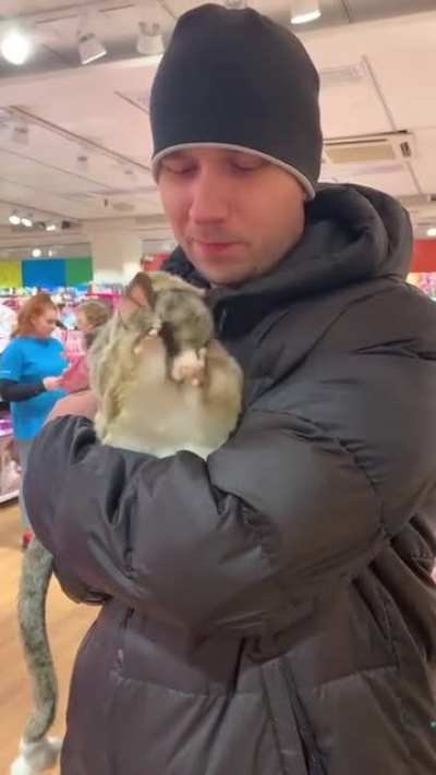 Holding a pet