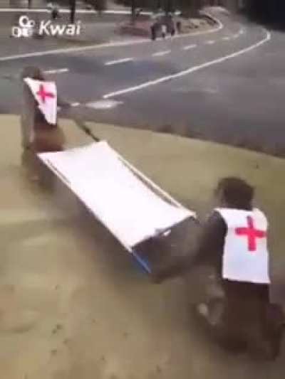 Paramedics