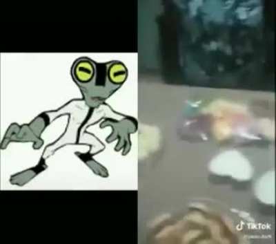 massa cinzenta kkkk