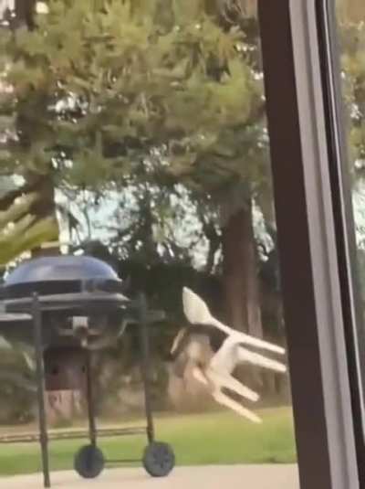 boy fighting chair