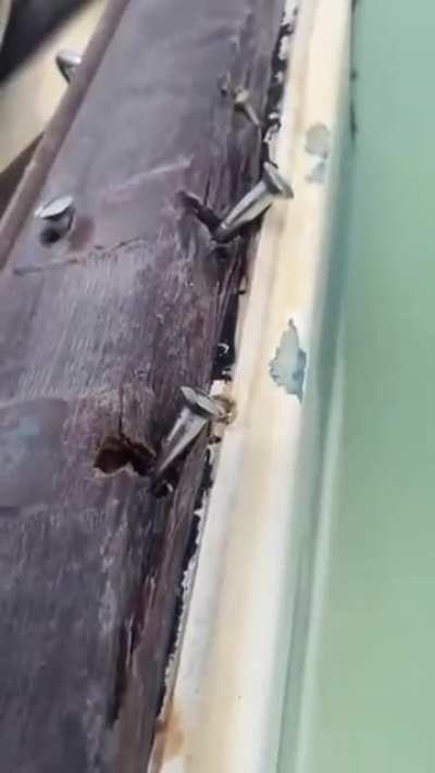 Titanic 2