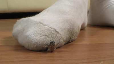 dirty socks