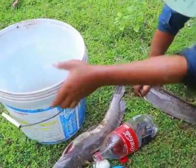 Ah the old Mentos & Coca Cola trick...