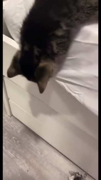 Bet you won’t do it pusyyyy