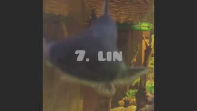 Top 10 fish (By Me)