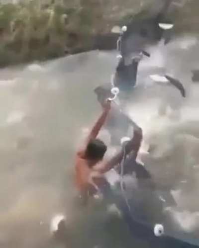 Just a day out fishing