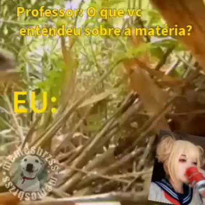 É isso q eu entendo