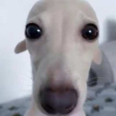 Eeehh