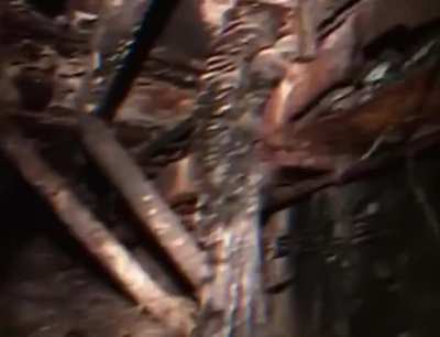 The deadly discovery beneath Chernobyl that became known as the Elephant's Foot