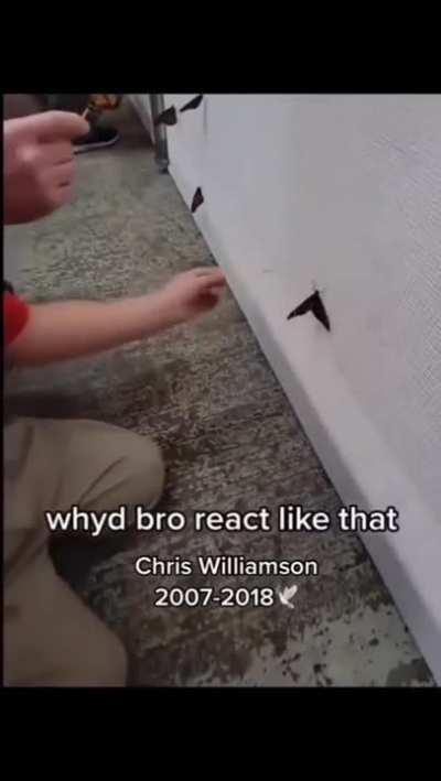 MothMan origin story