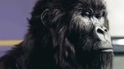 I’ve waited an entire year to post this