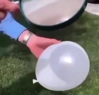shitposting - Video #9226