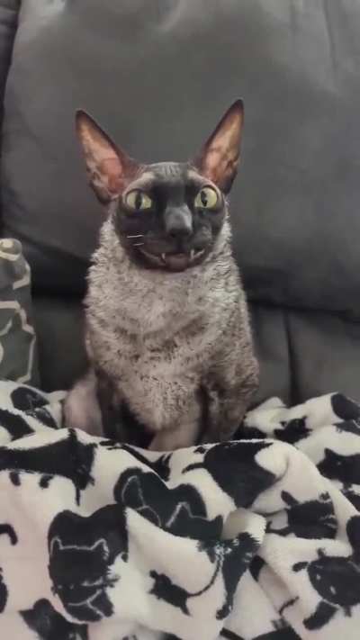 dopest wunkus alive