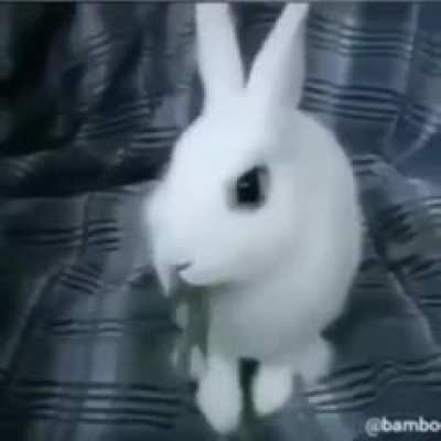 :D