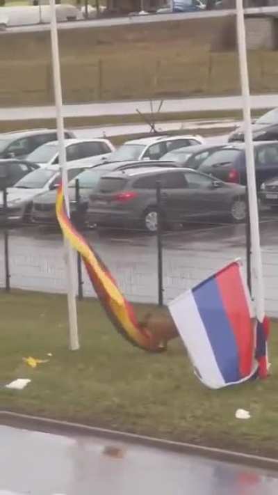 Least patriotic Serbian dog